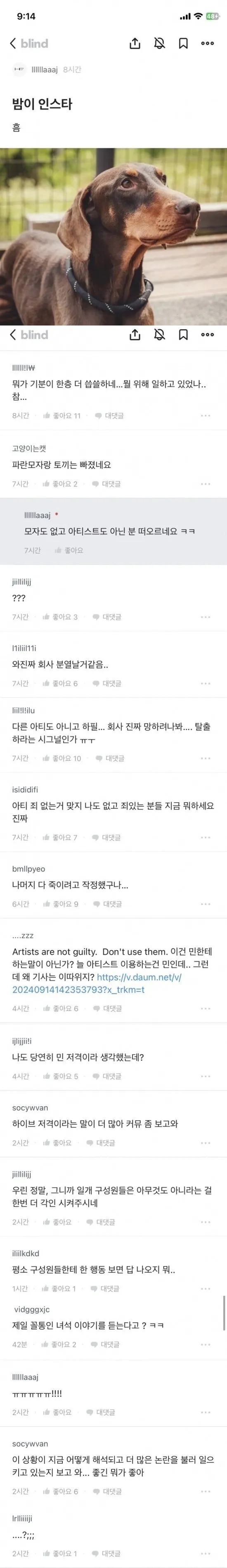 하이브 블라인드 비하 발언 관련 이미지 5